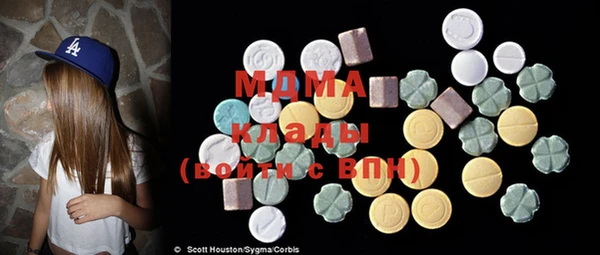 PSILOCYBIN Алзамай