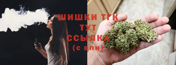 PSILOCYBIN Алзамай