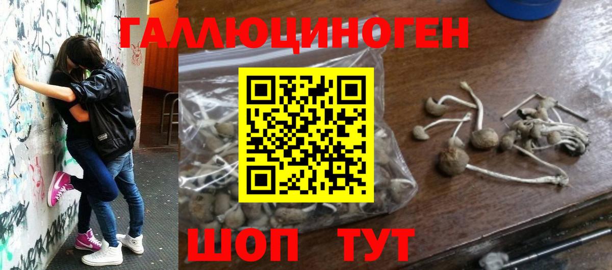 Бошки Шишки  ГАШИШ  Первоуральск  МЕФ кристаллы  Вход с VPN  Кокаин 
